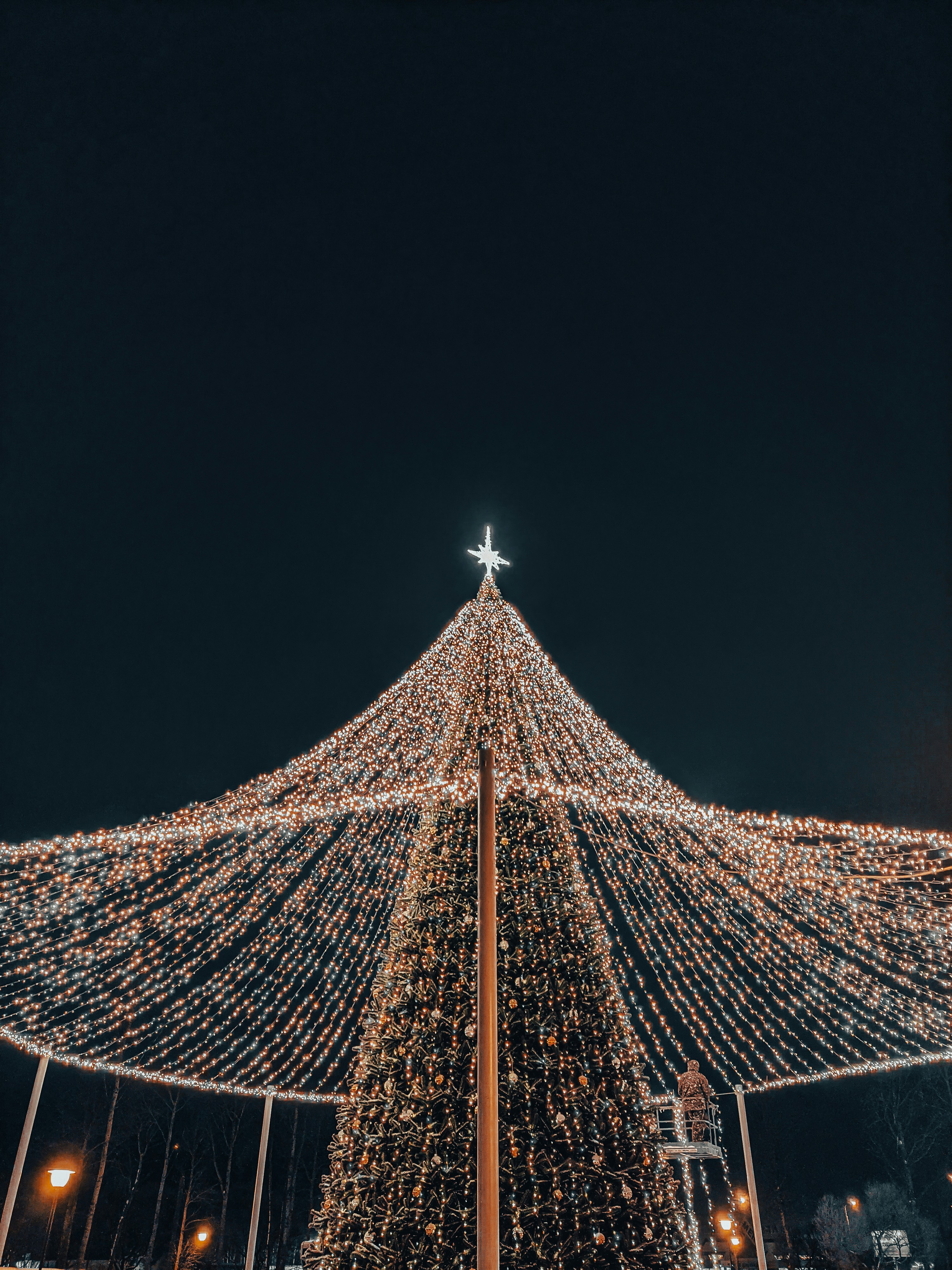 a large christmas tree is lit up at night