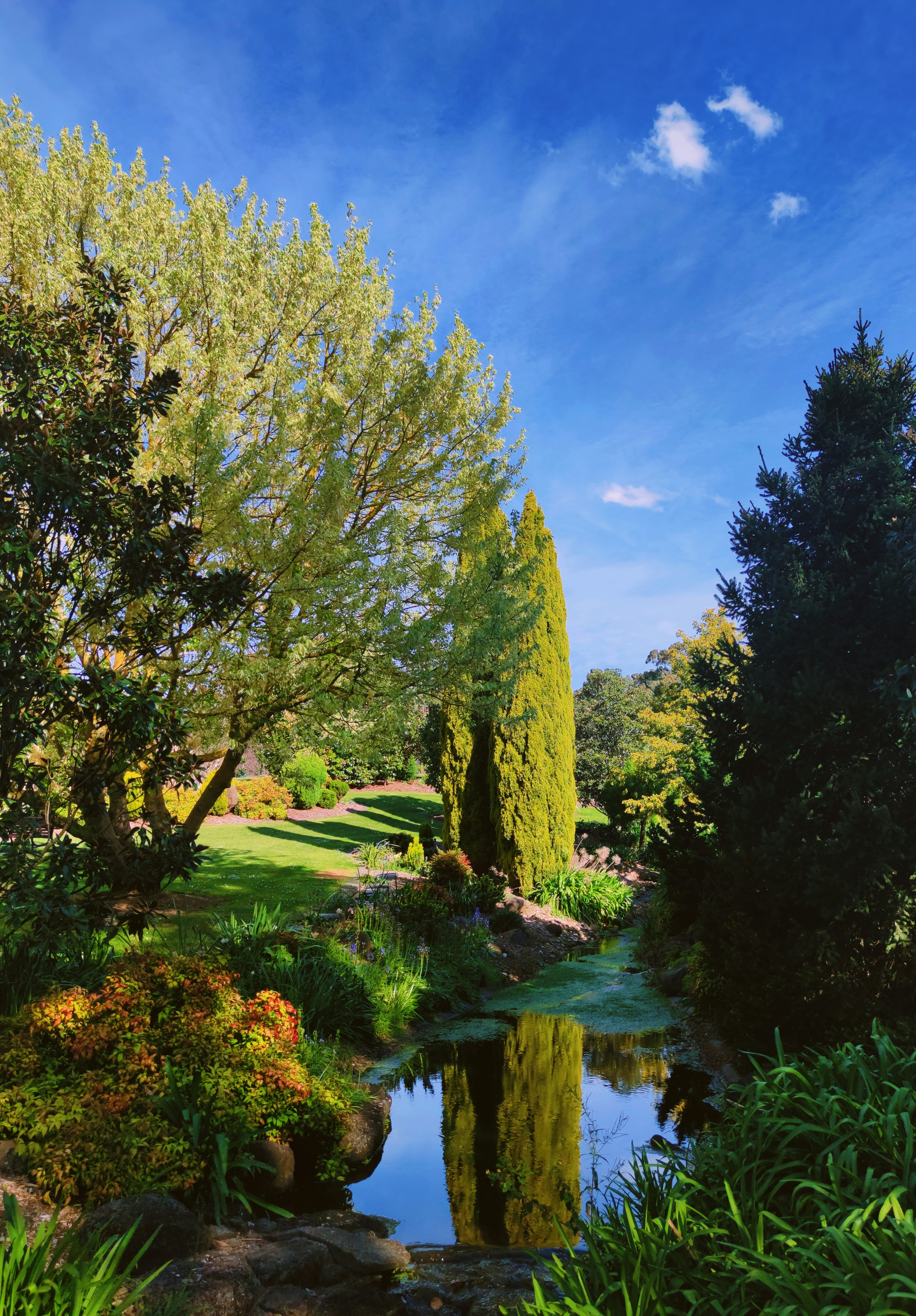 Stanhope Gardens, New South Wales