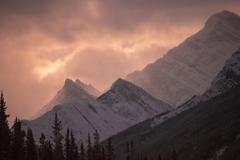 a snow covered mountain with trees in the foreground