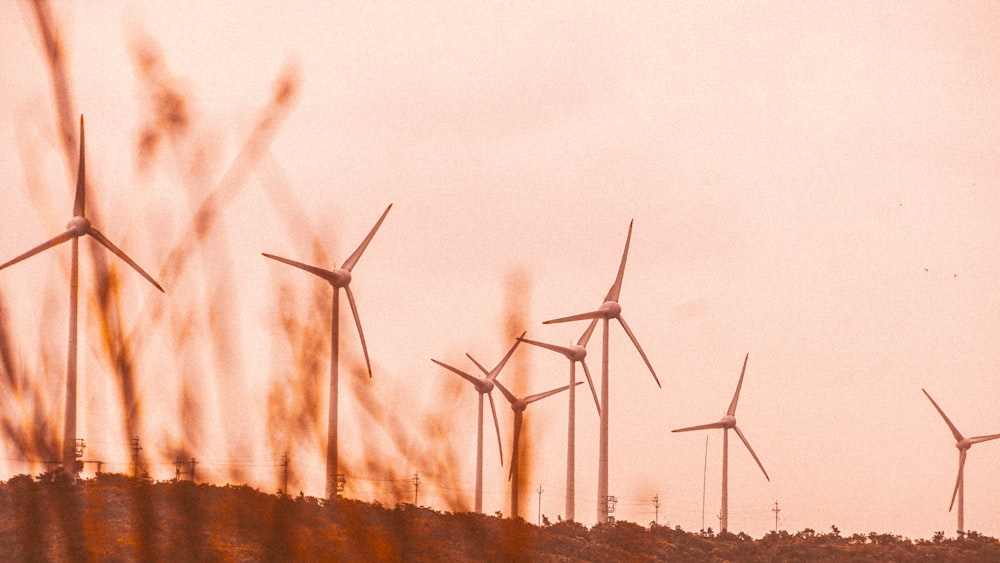 a row of wind turbines on top of a hill