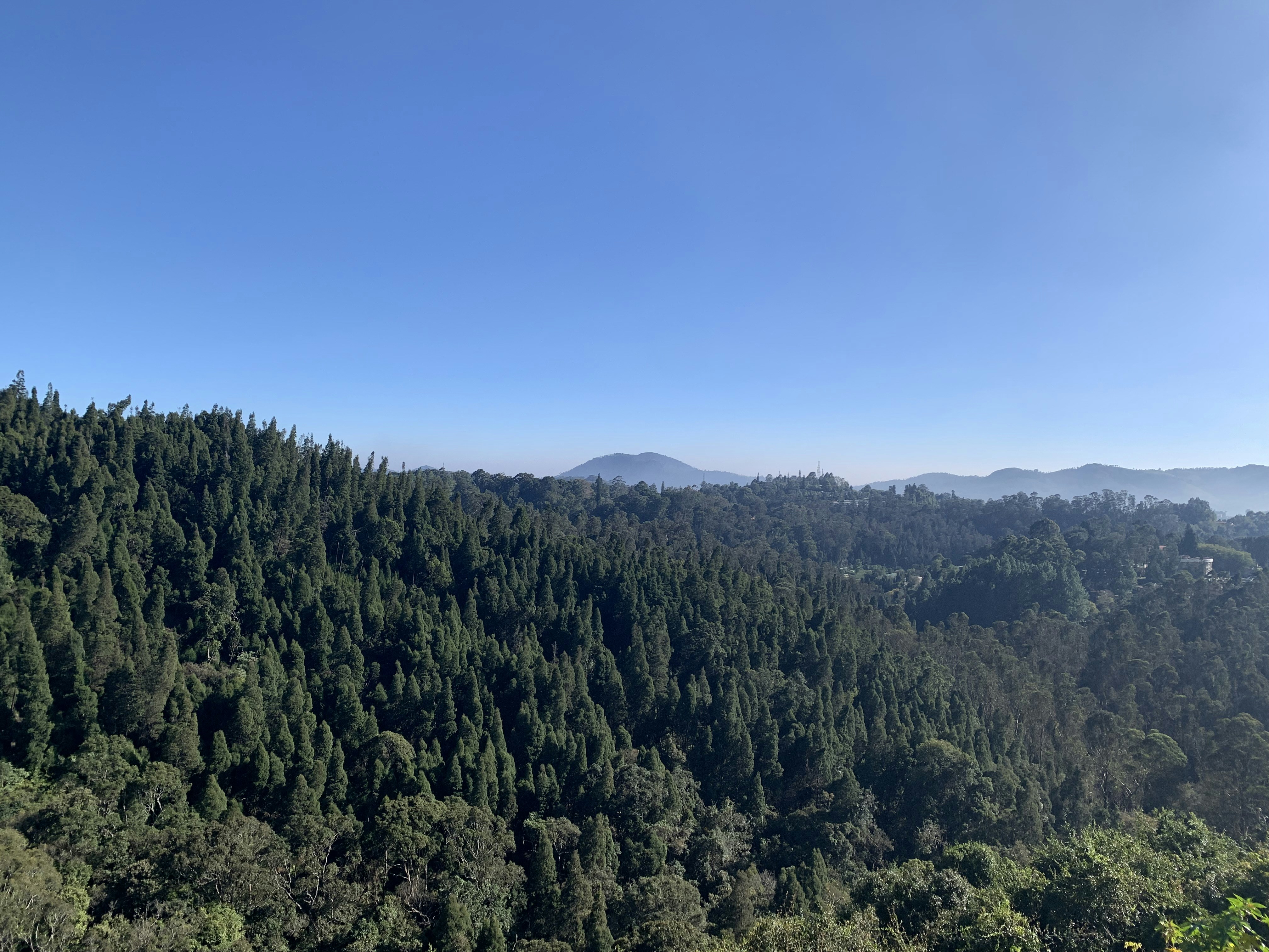 Photo by roshankalathil2188