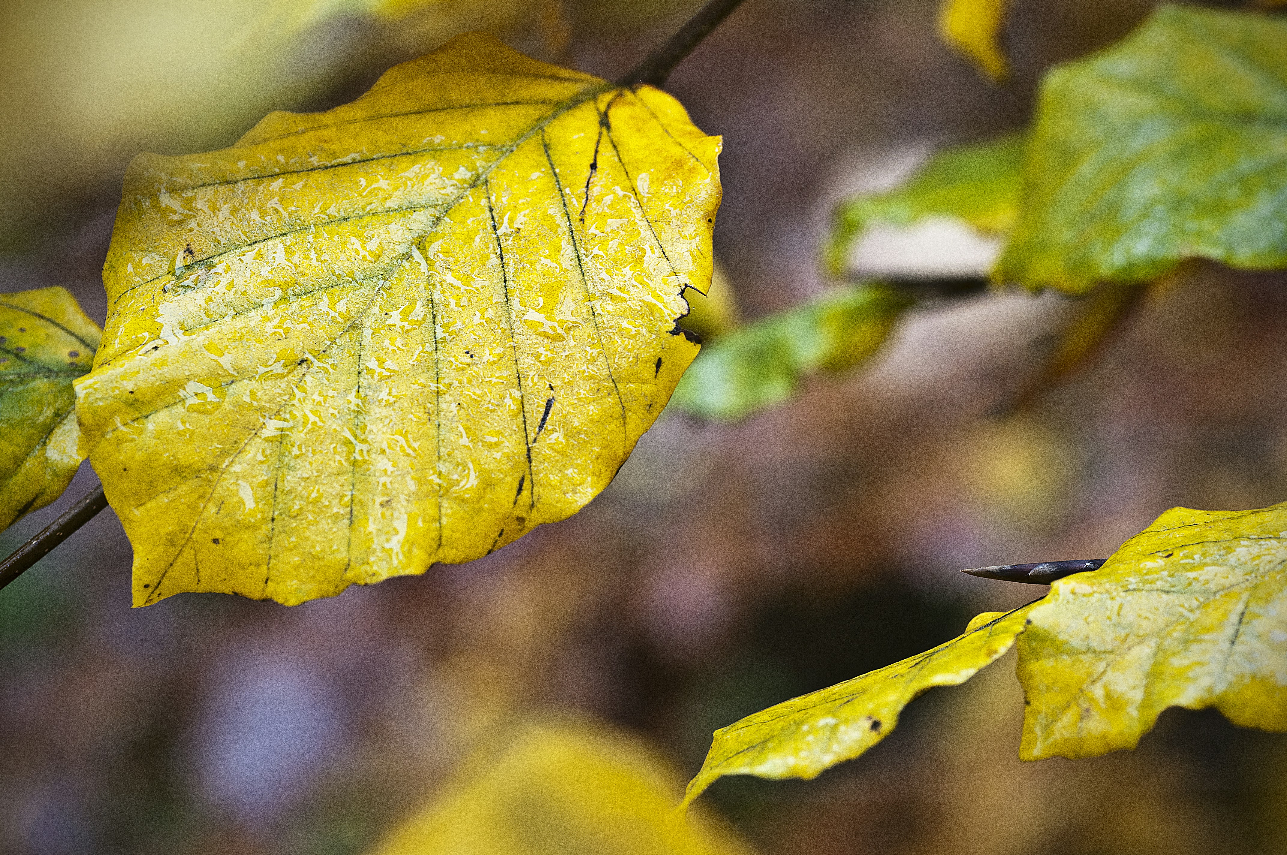 Photo by vektropolis