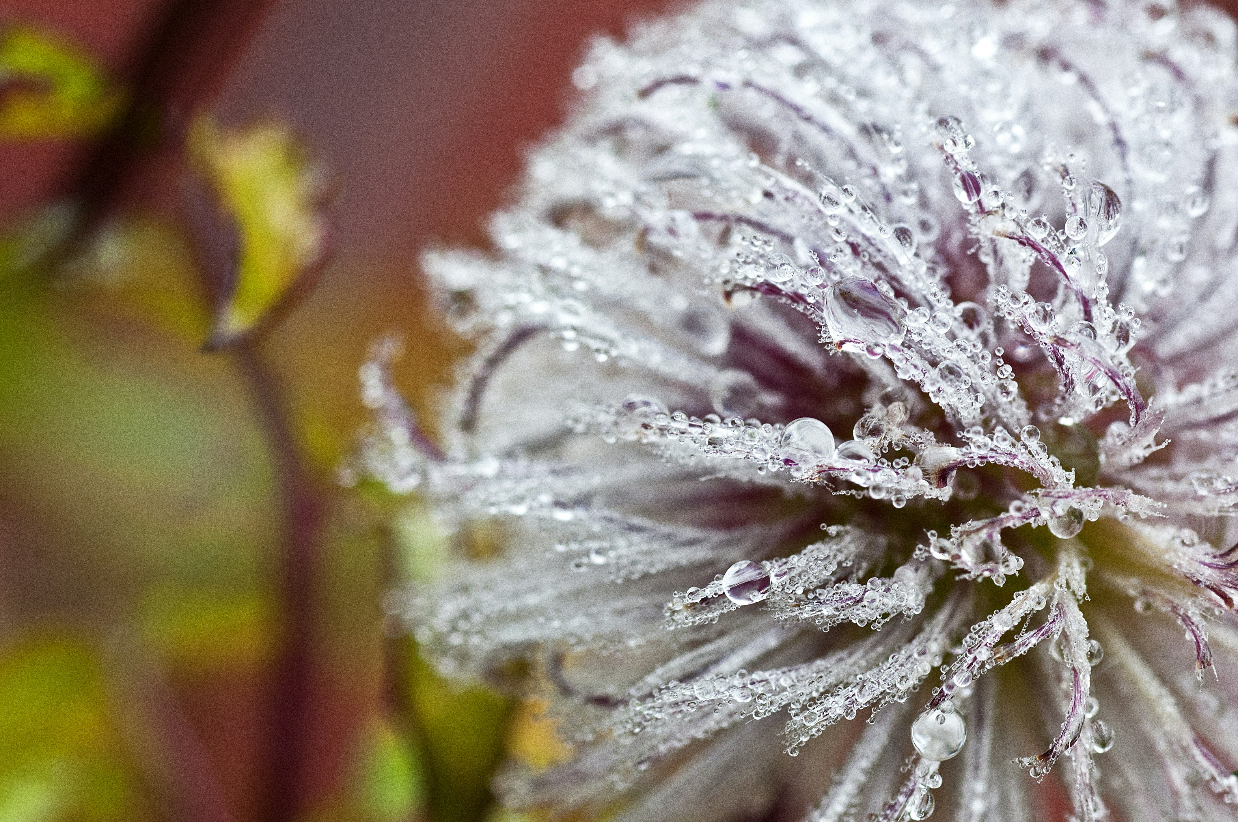 Photo by vektropolis