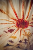 A vibrant design featuring a central red circle with orange extensions radiating outward. Several colorful handprints in shades of red, yellow, and brown are scattered across a light background, creating a dynamic and artistic pattern.