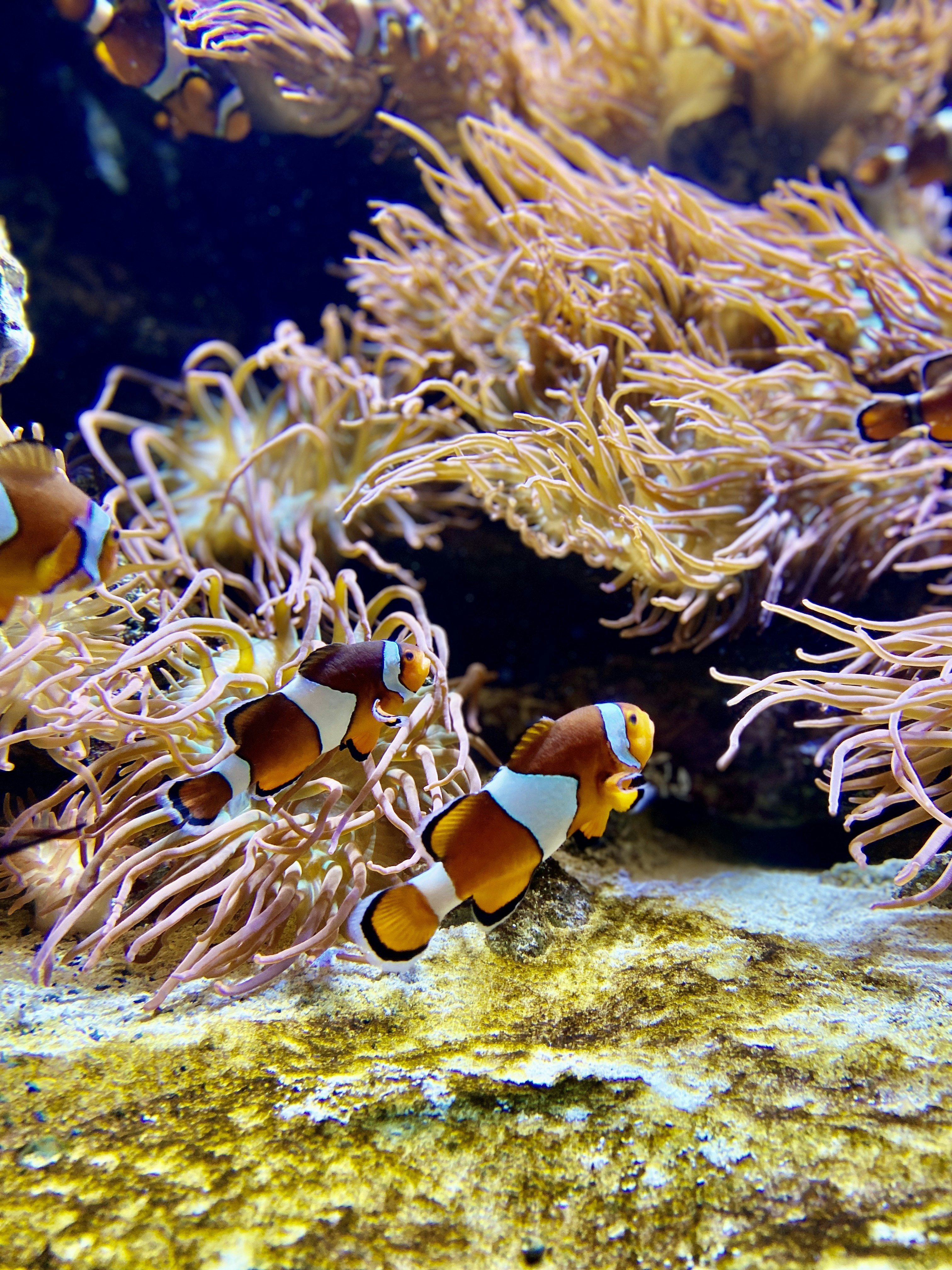 Photo by rubinaajdary