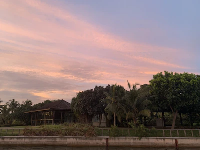 A peaceful outdoor spa pavilion framed by swaying palm trees under a golden sunset.