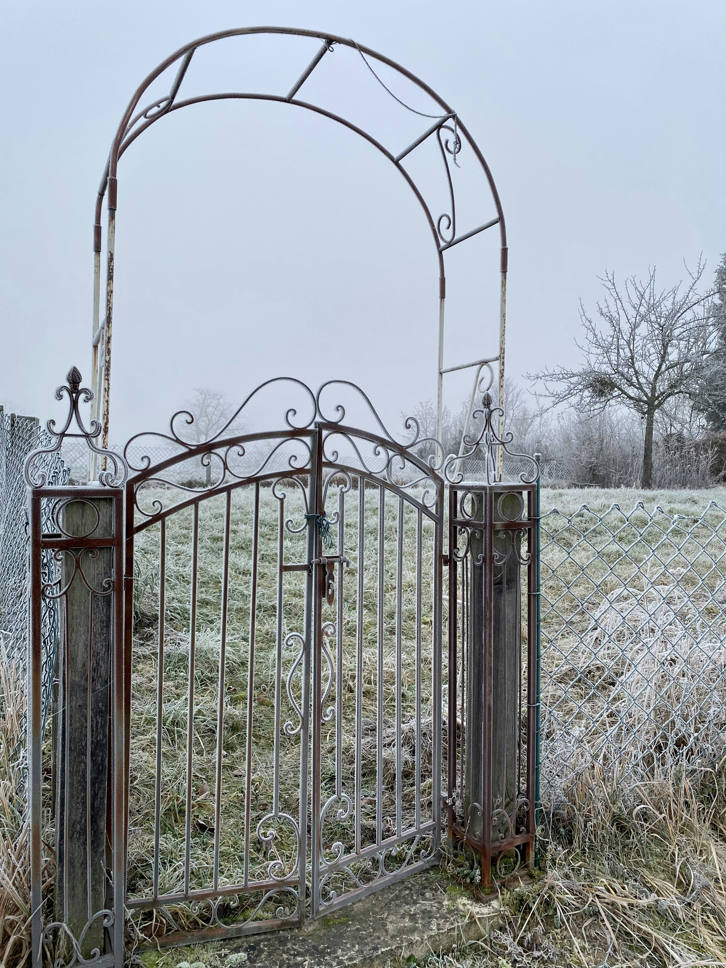 A wrought iron fence with a secure locking gate