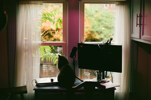 A cozy office desk with a laptop, a plant, and a cat curiously watching nearby.