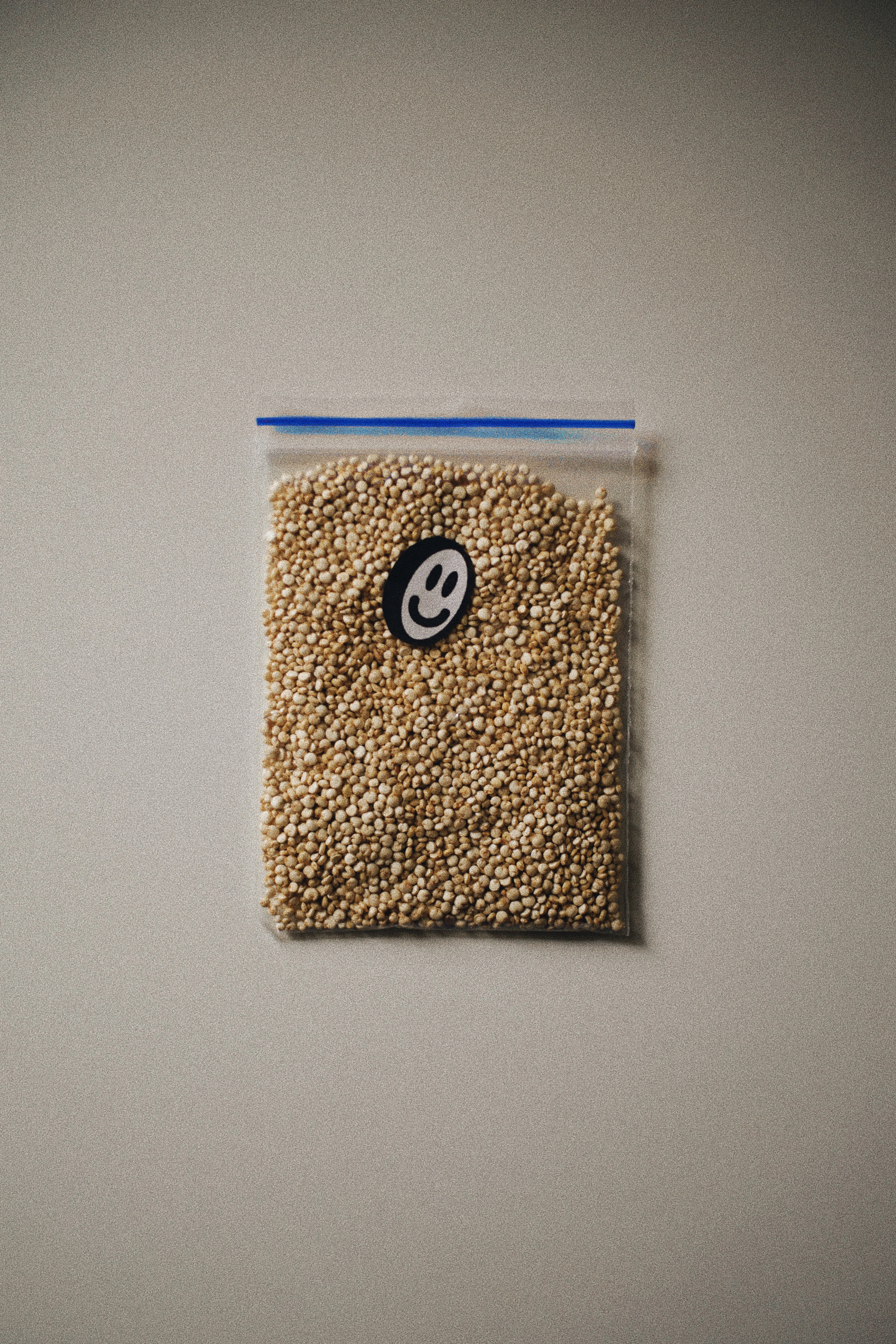 FreshPack Food Storage Zip Bags – Medium — image 1