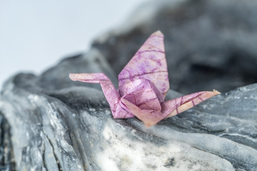 a pink origami bird sitting on top of a rock