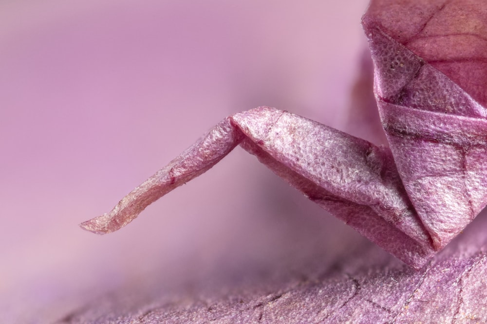 a close up of a pink origami origami origami