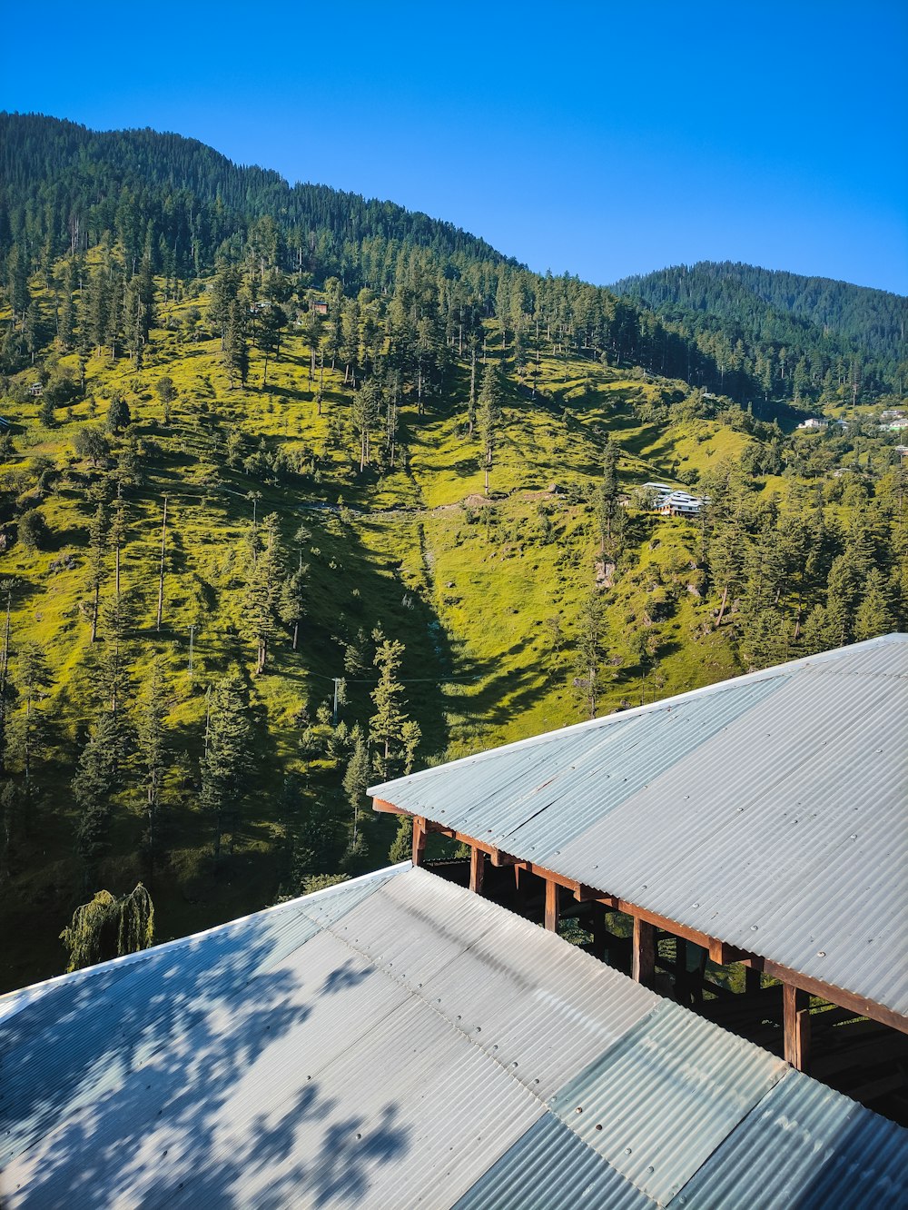 a view of a green hillside with trees in the background