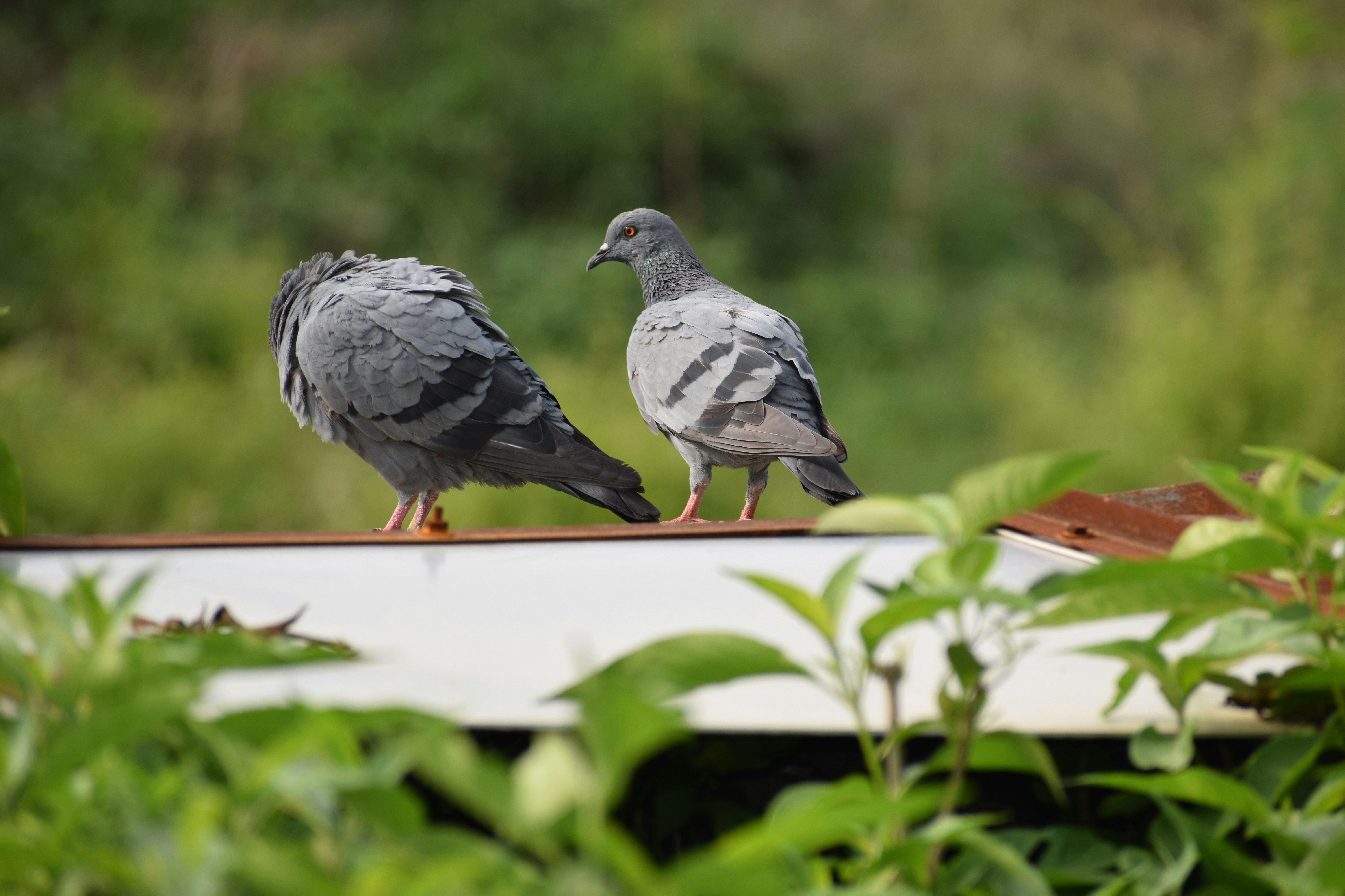 Photo by piyusharya_12