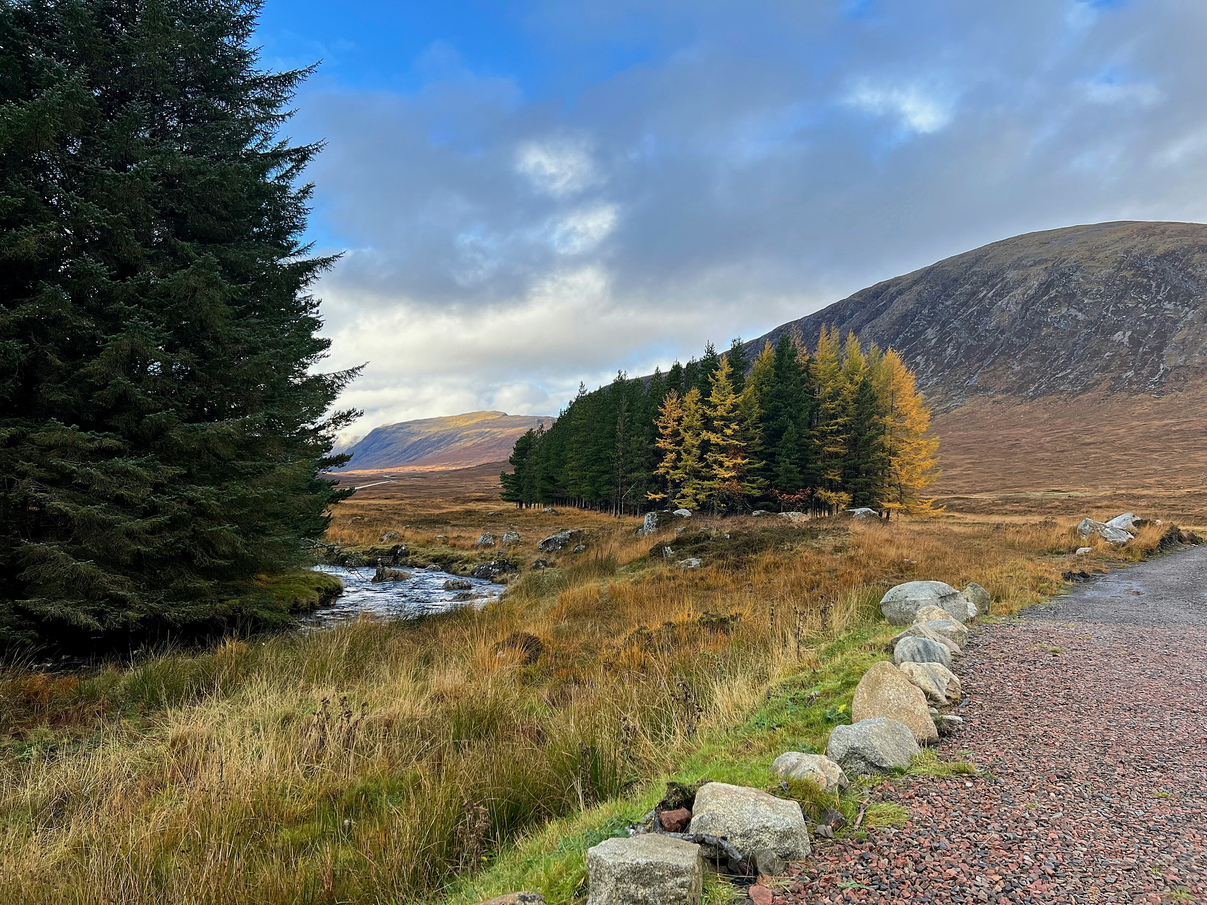 Simple natural beauty.