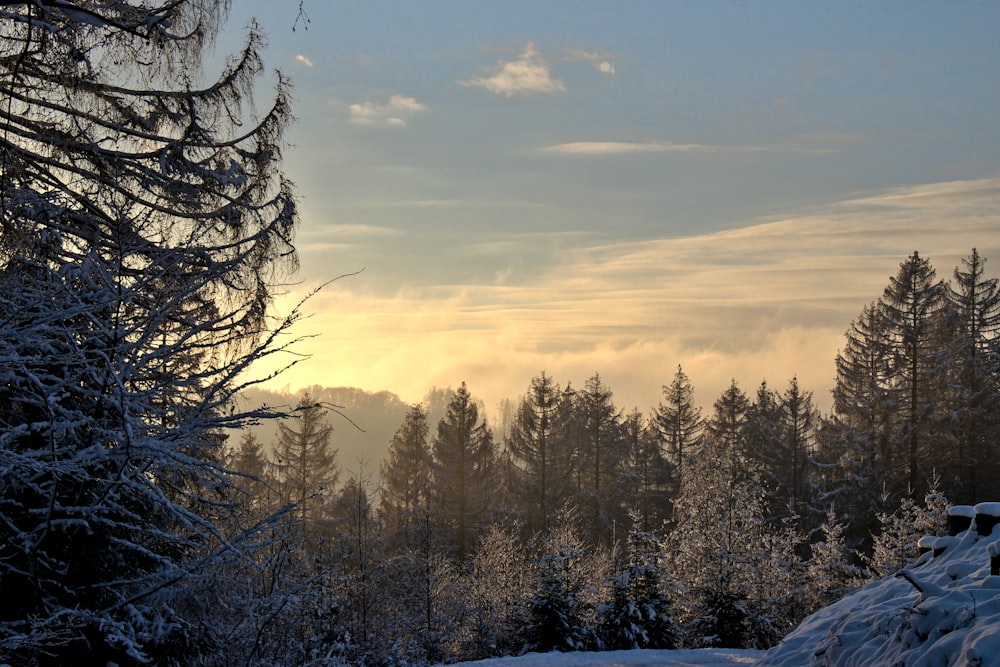 the sun is shining through the clouds over the trees