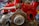 A detailed view of an exposed automotive engine with a bright red covering, showcasing various mechanical components such as exhaust pipes and a flywheel. The engine is situated in a workshop with tools and storage units in the background.
