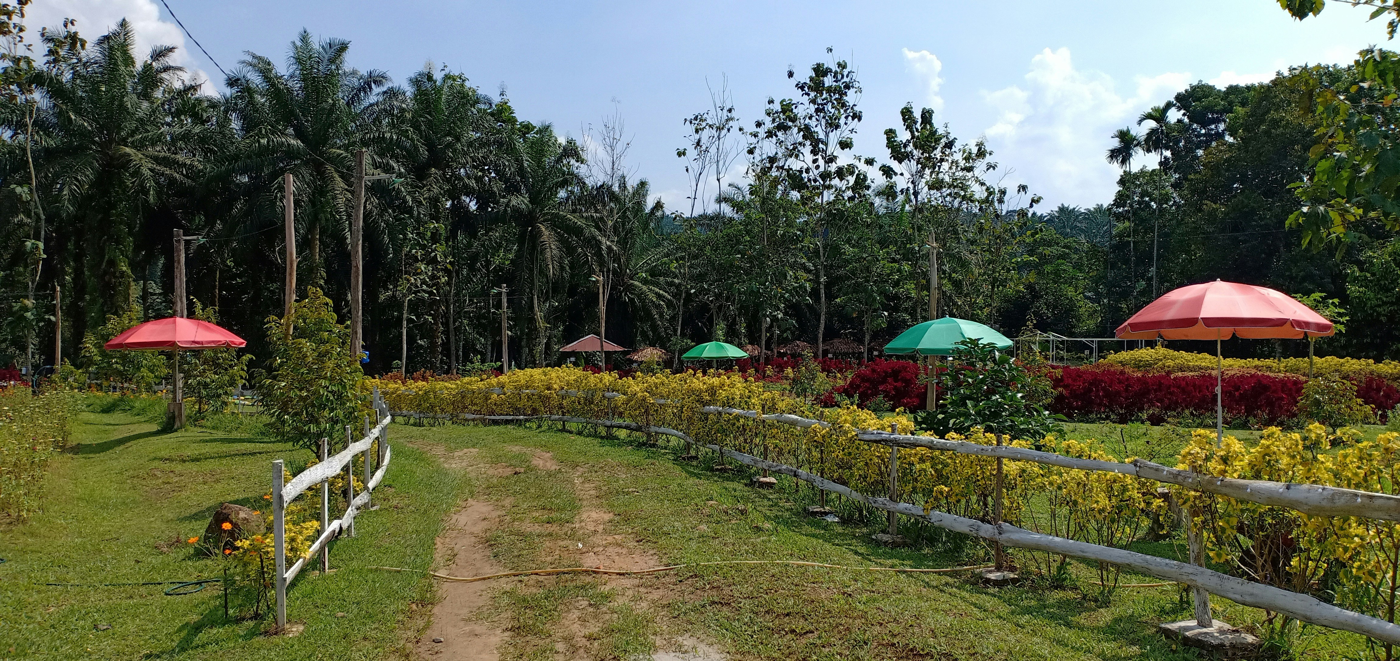 40 Acre Park