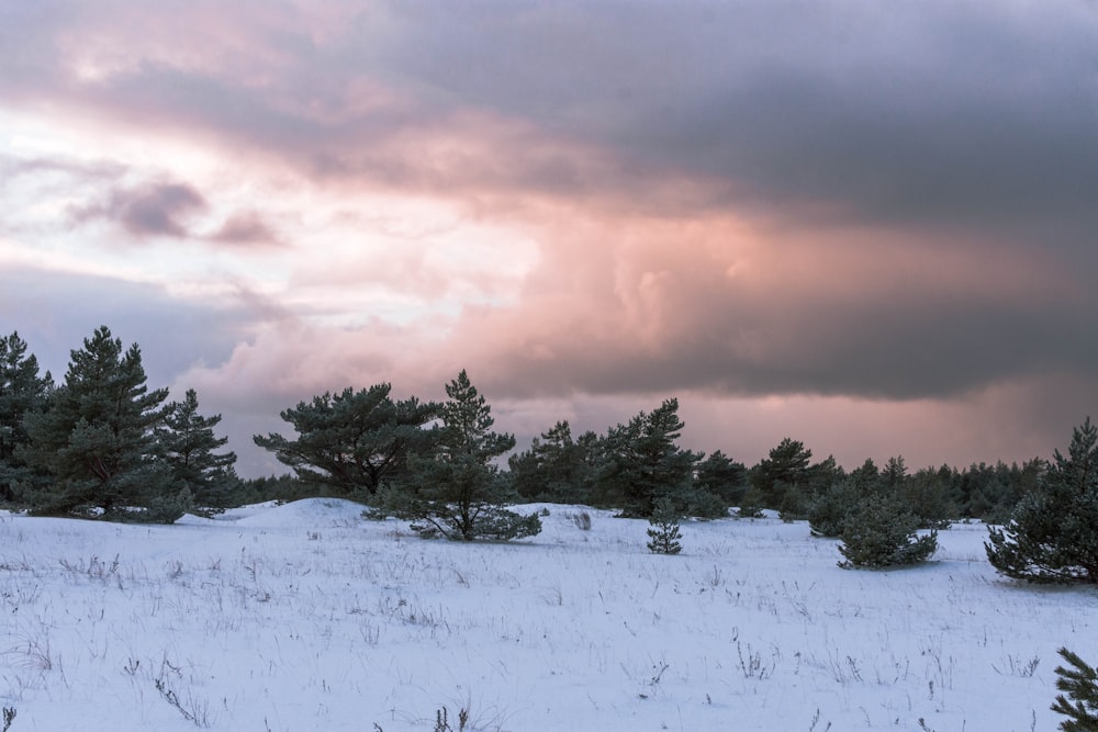 a snow covered field with trees under a cloudy sky