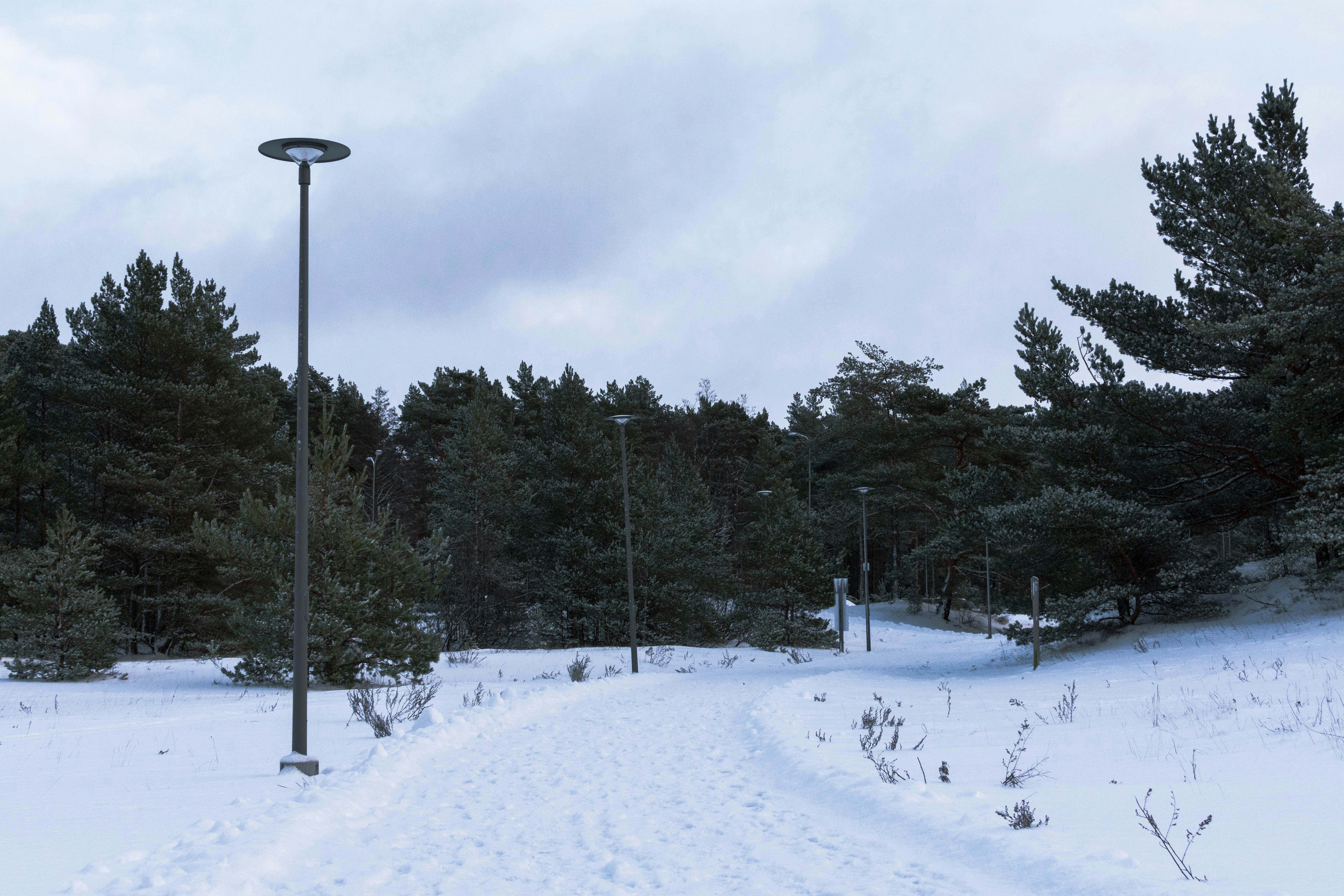 a snow covered path with a street light in the background