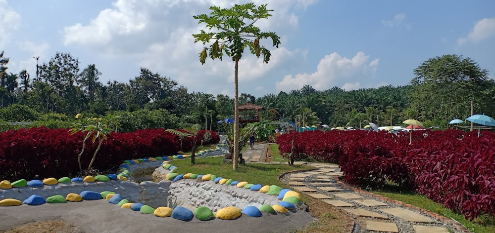 a park with a lot of plants and trees