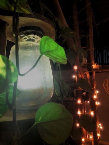 A cozy corner decorated with lanterns and fresh greenery, perfect for a warm gathering.
