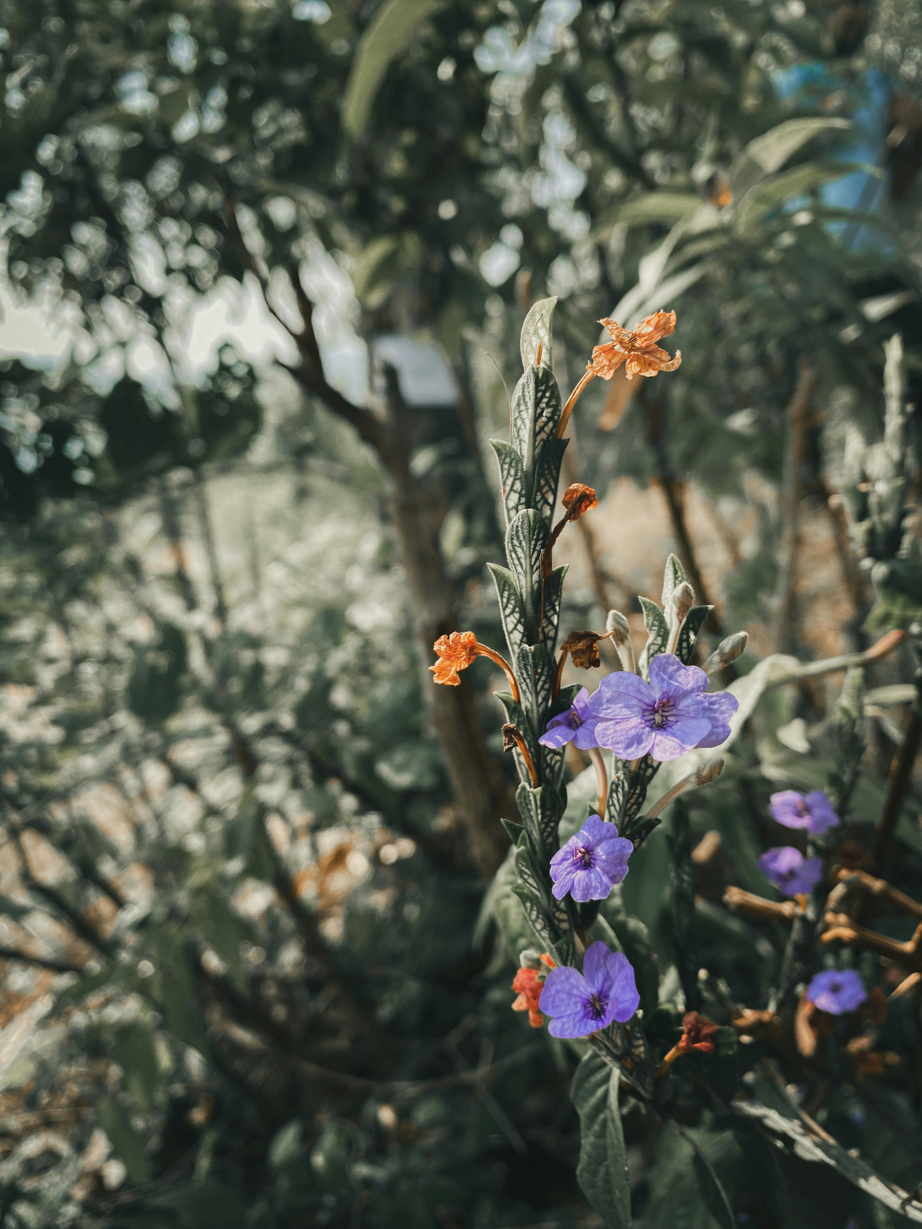 Photo by route2tushar