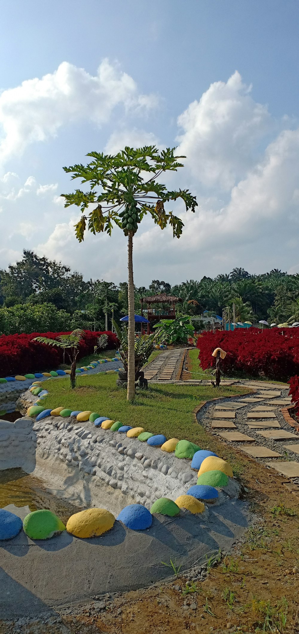 a group of people sitting in a garden