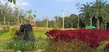 A vibrant garden landscape features lush green and red foliage. In the foreground, there is a structure covered with netting surrounded by various plants and flowers. The background shows a field of yellow plants and several tall trees, along with two colorful umbrellas providing shade.