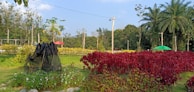 A vibrant garden featuring various types of awnings.