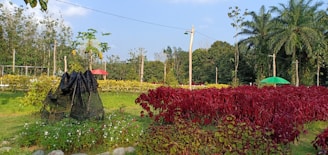 A vibrant garden landscape features lush green and red foliage. In the foreground, there is a structure covered with netting surrounded by various plants and flowers. The background shows a field of yellow plants and several tall trees, along with two colorful umbrellas providing shade.