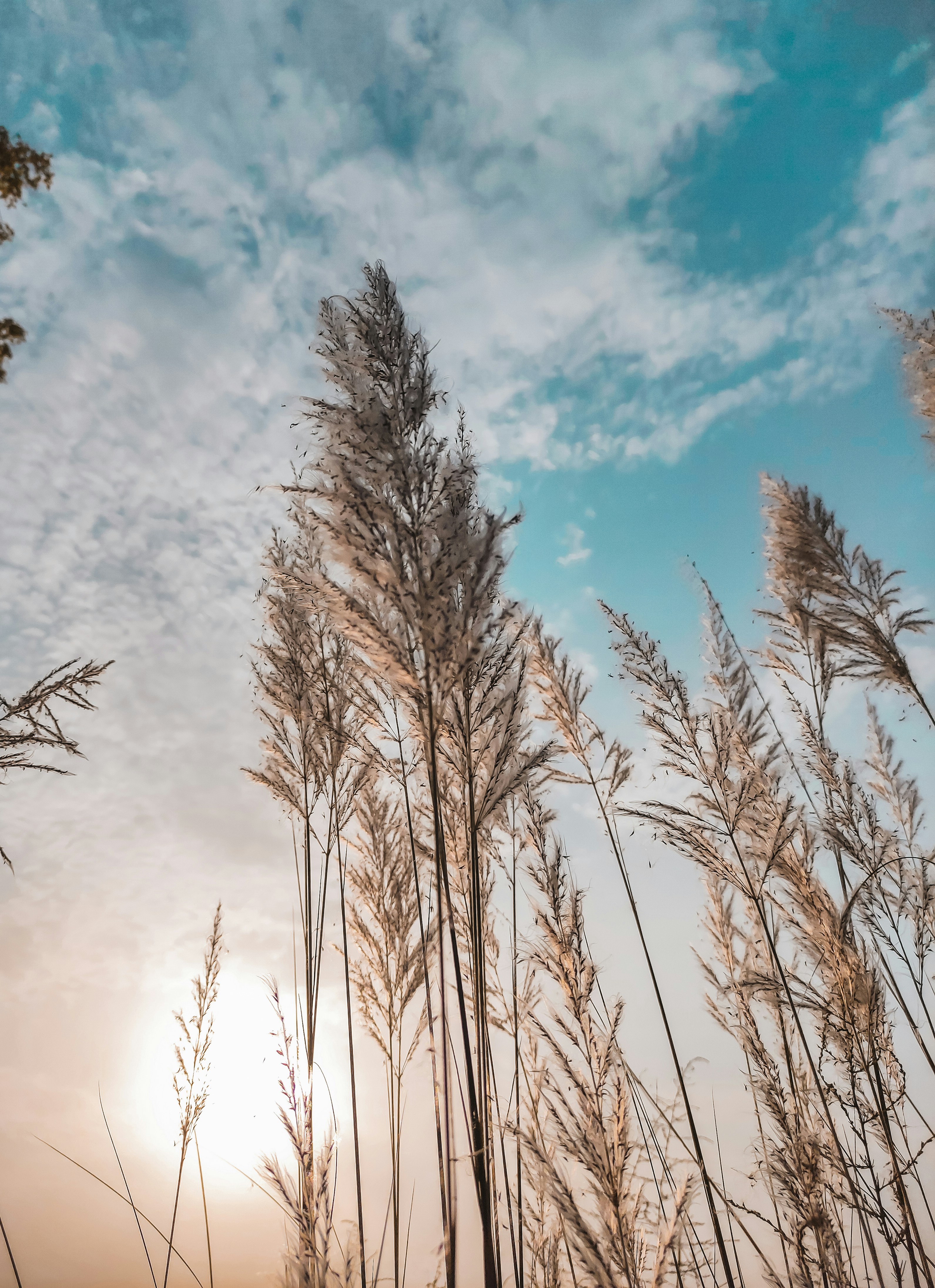 Photo by jalalphotography