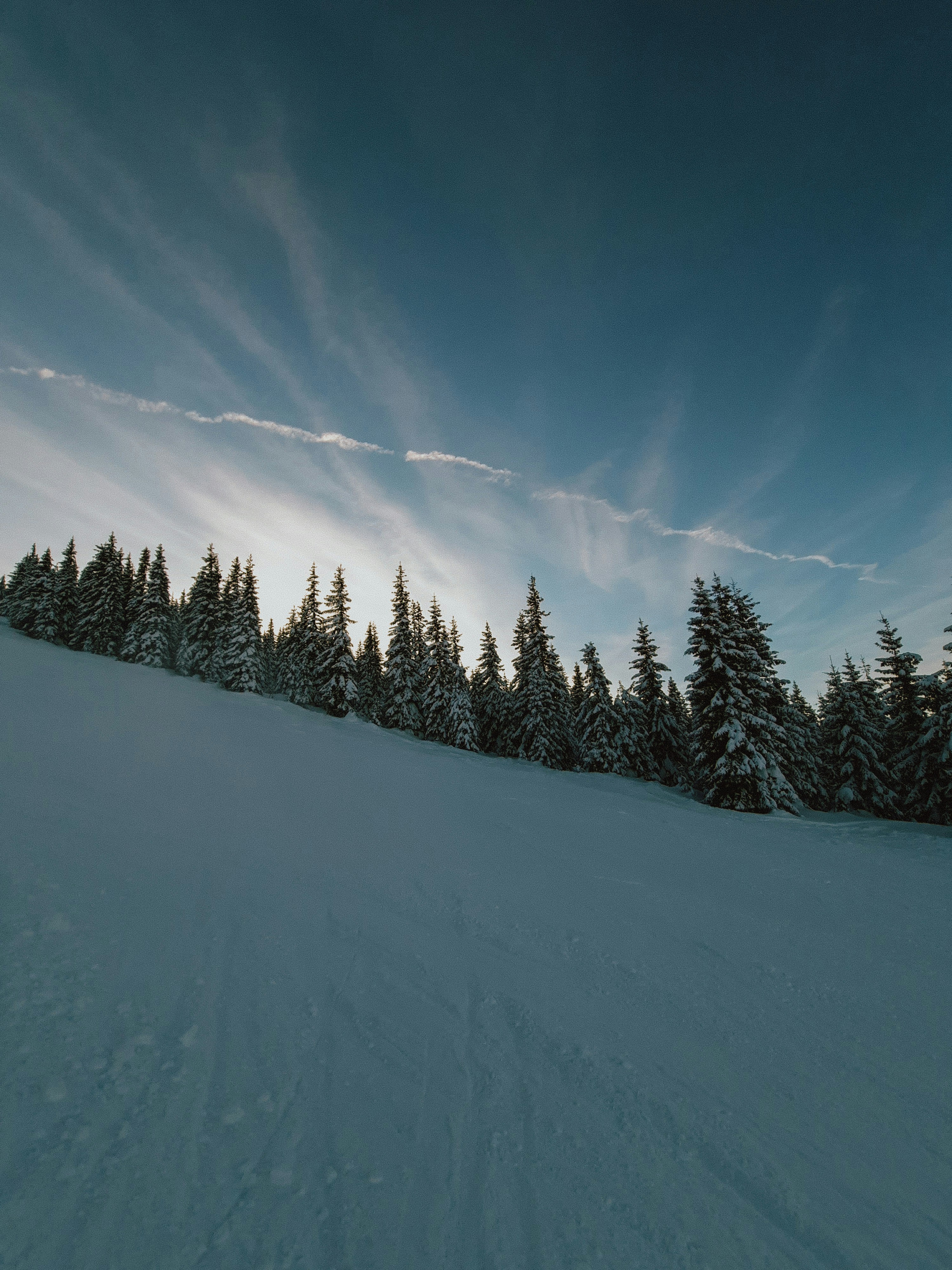 Photo by luisgherasim