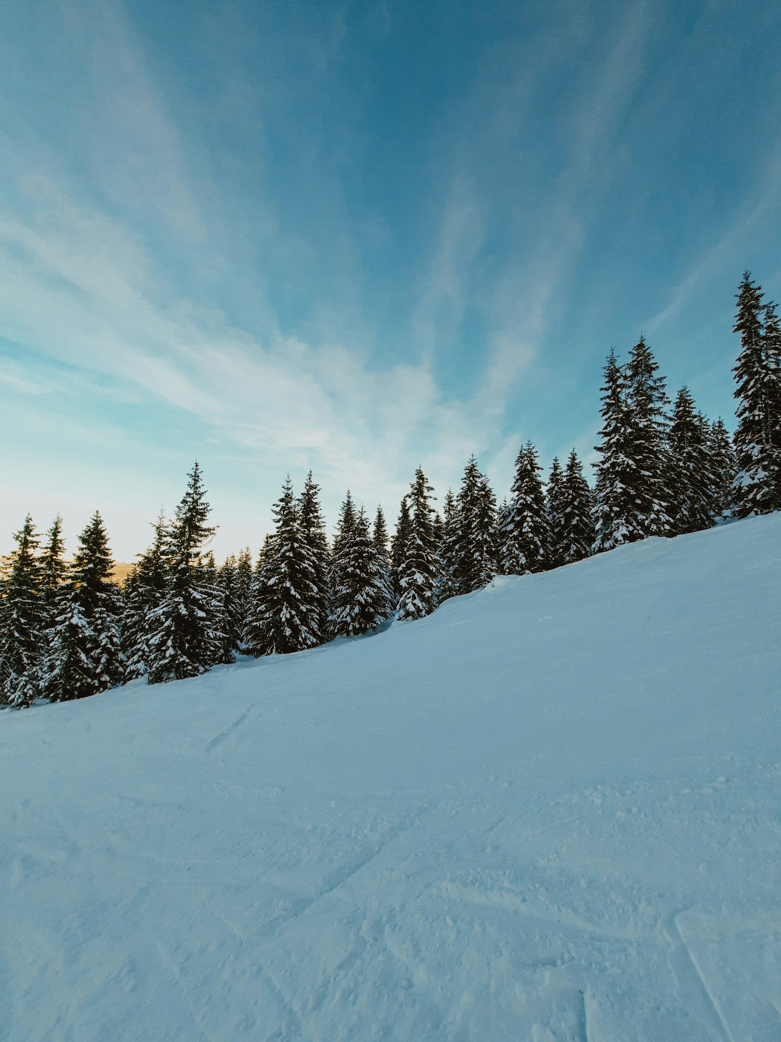 Photo by luisgherasim