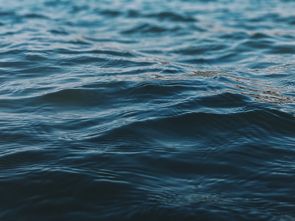 a close up of a body of water with waves