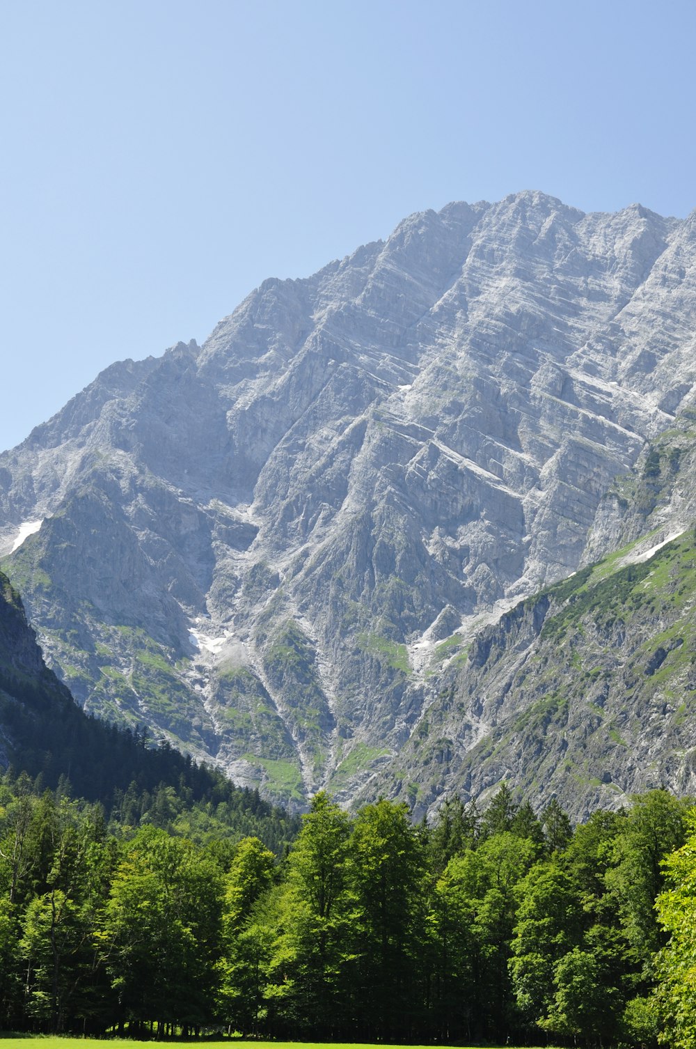 a grassy field with a mountain in the background