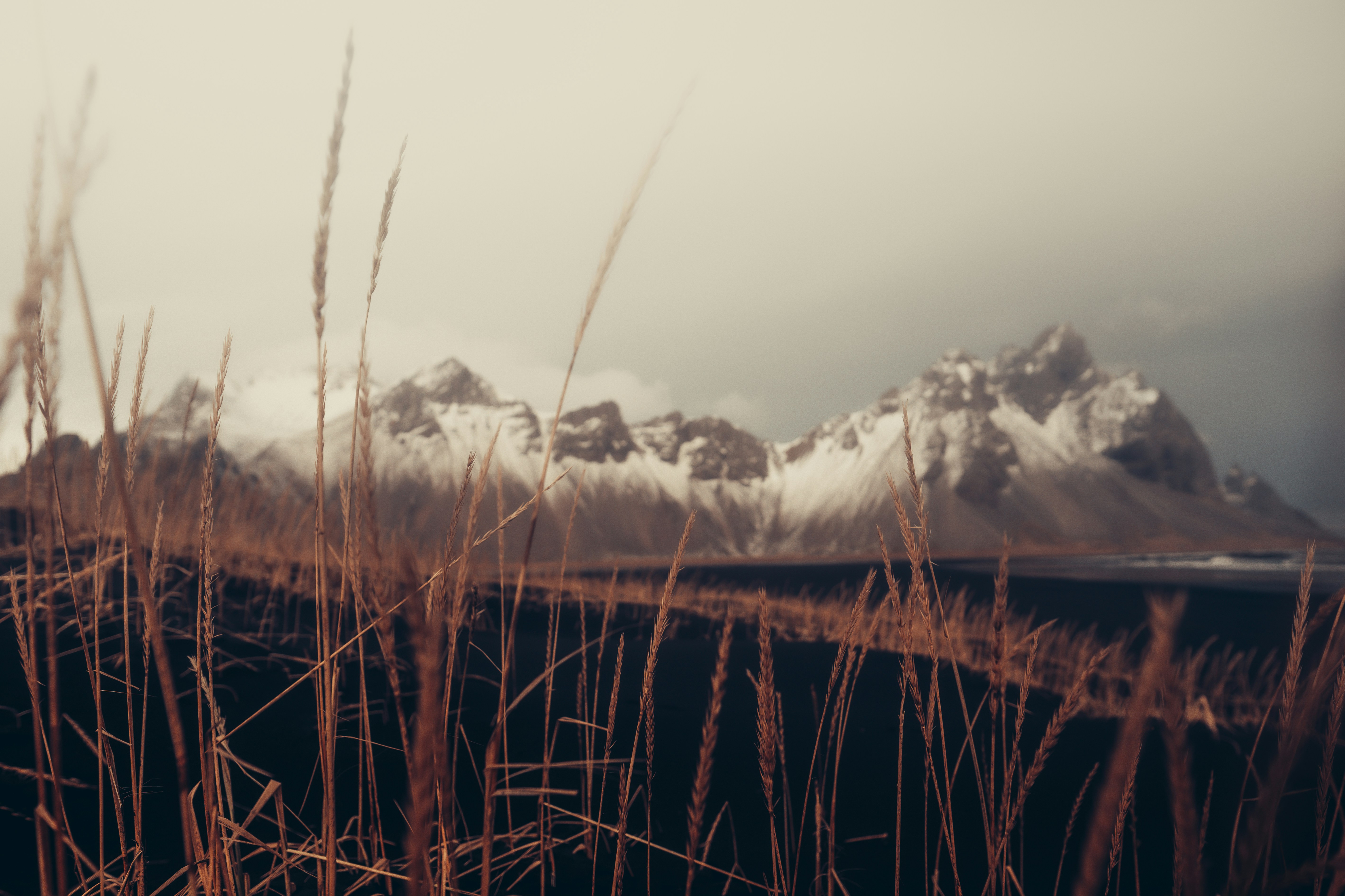 Photo by leandrarieger