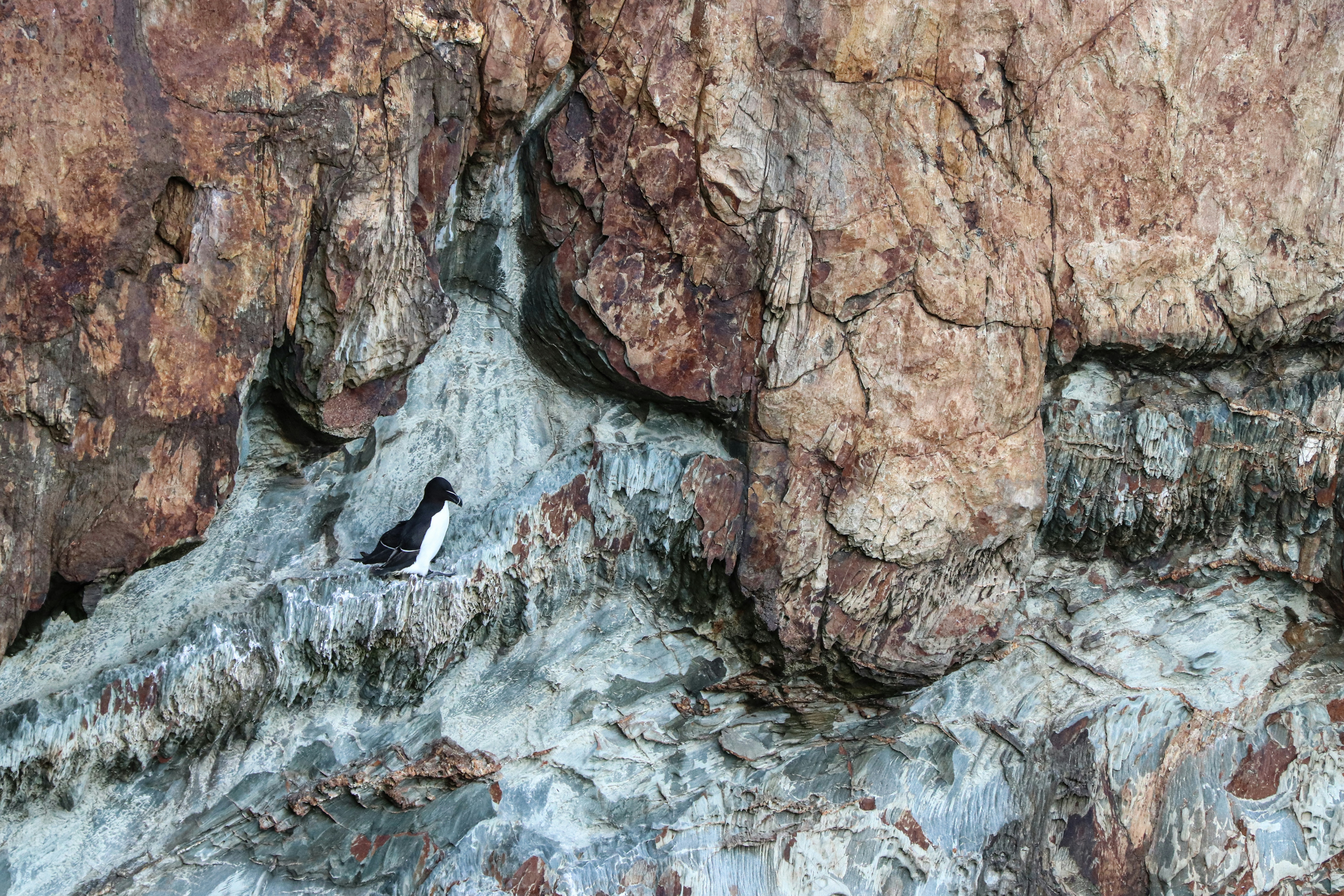 Photo by matyszczyk