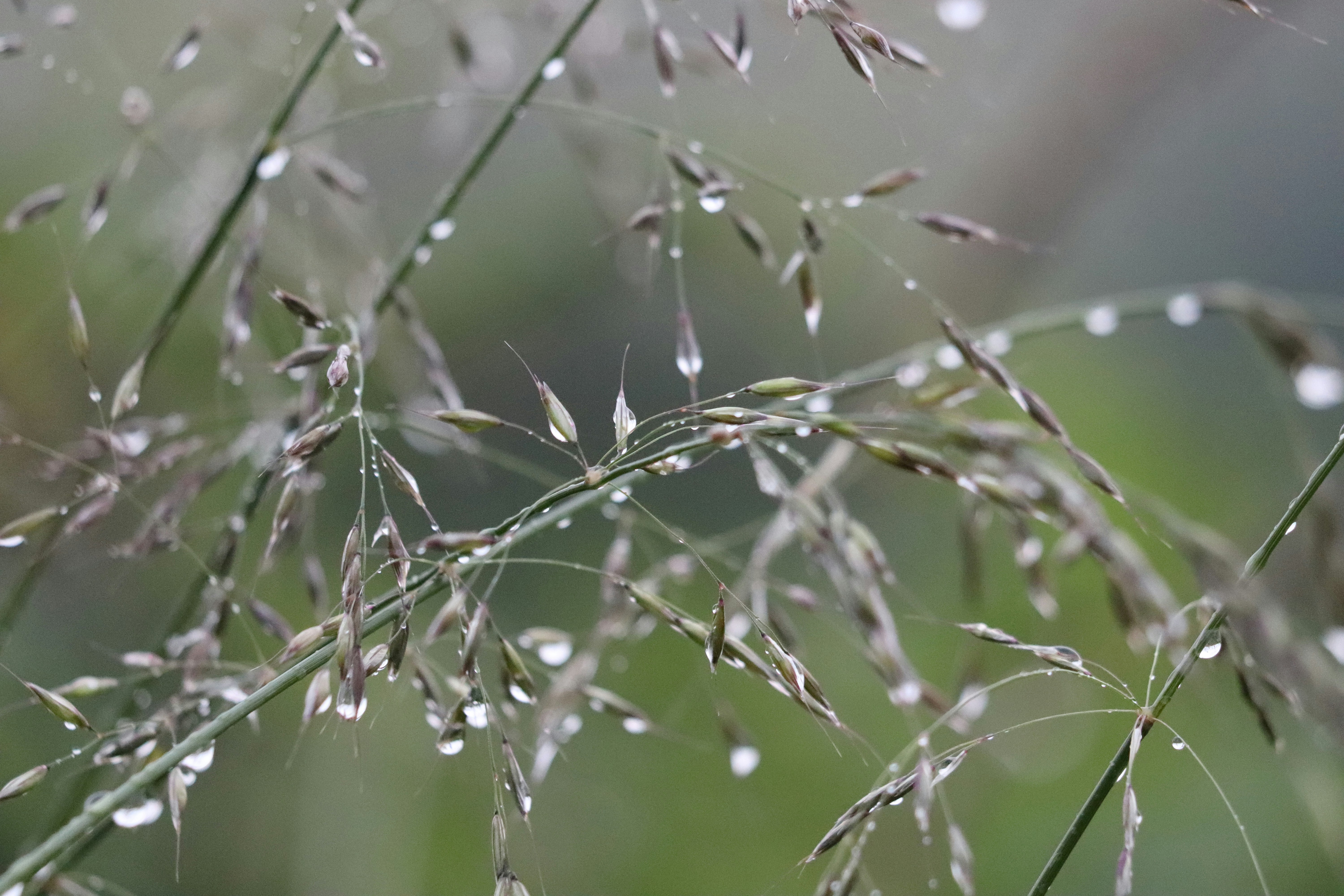 Photo by matyszczyk