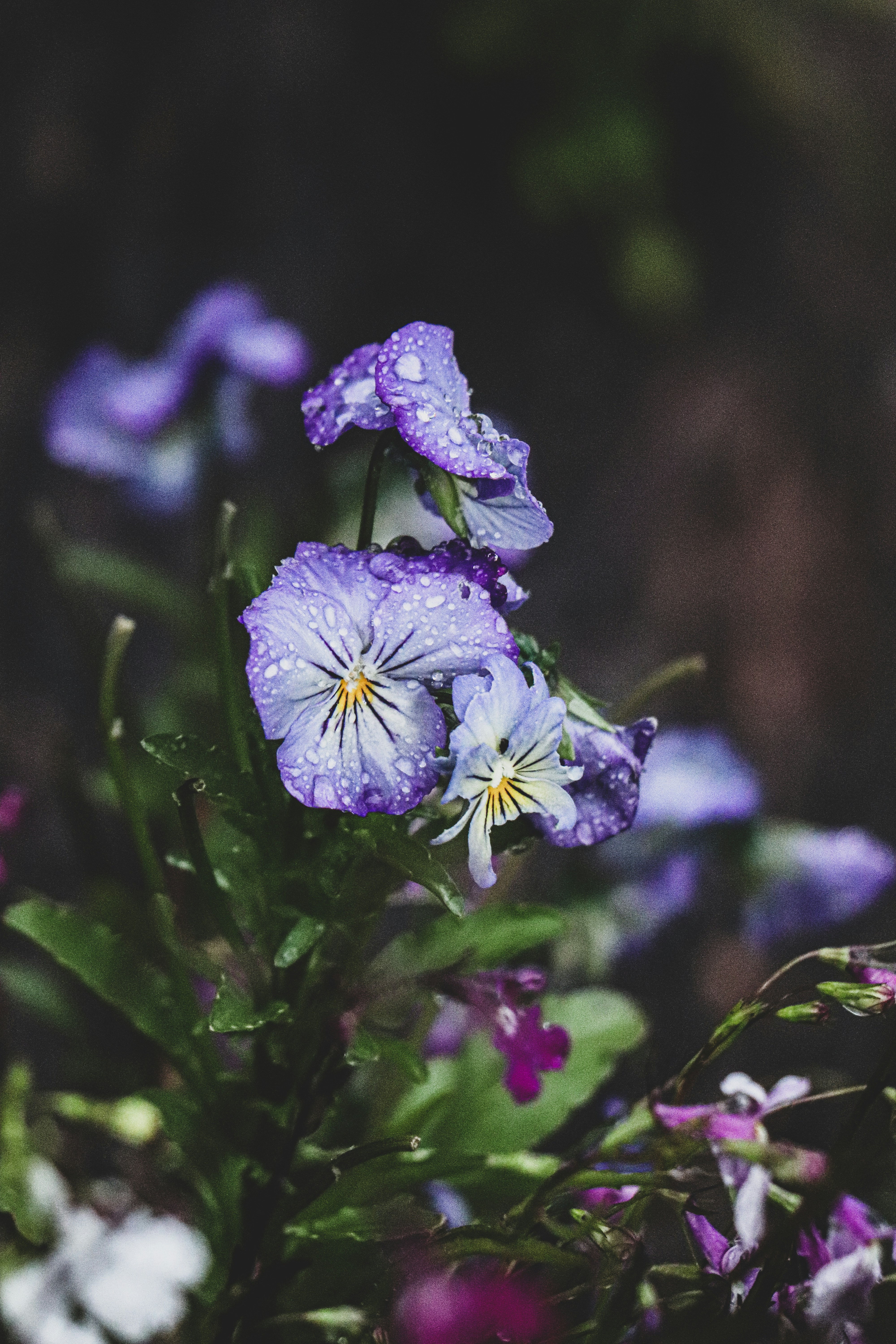 Photo by matyszczyk