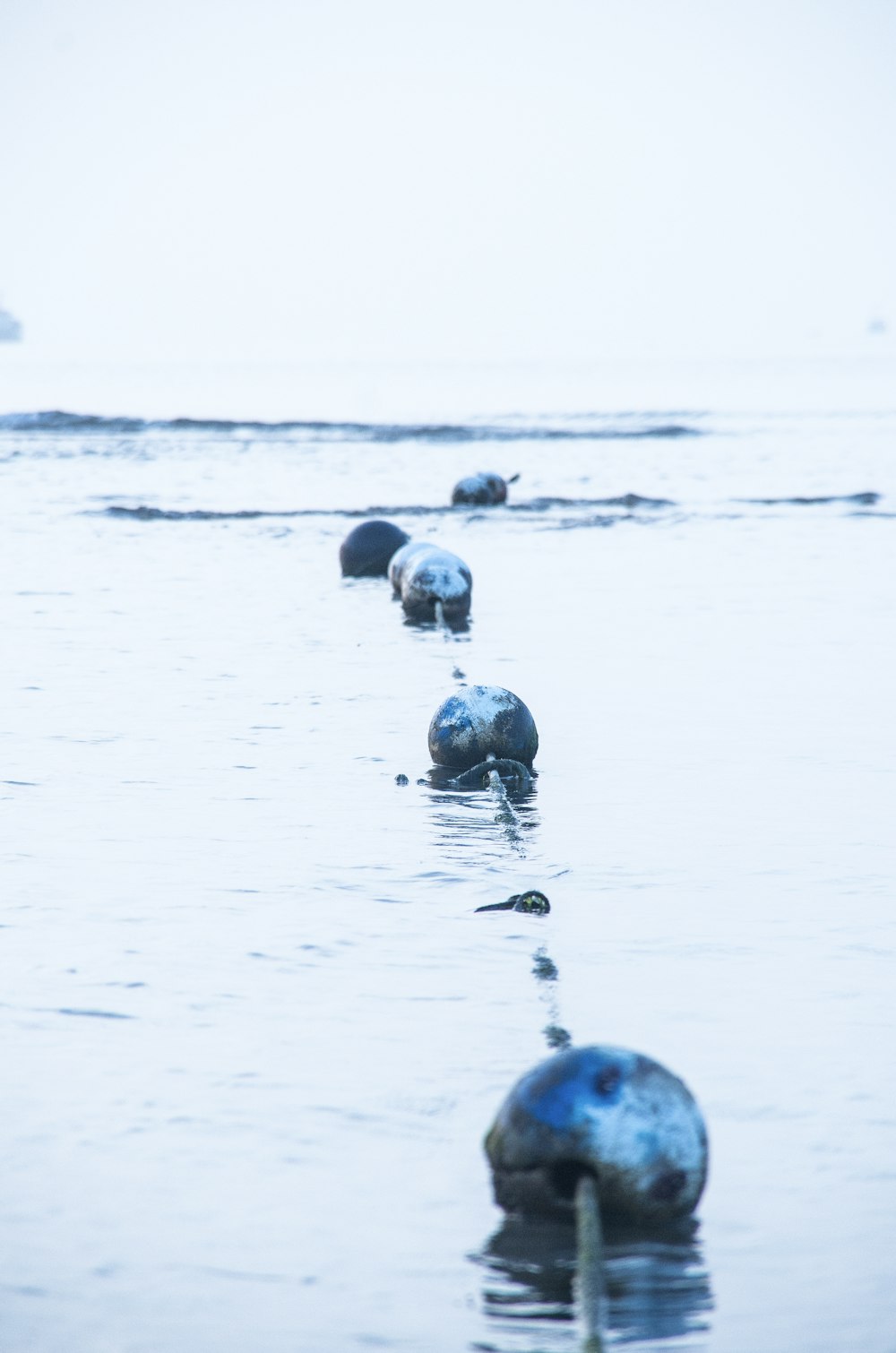 a line of rocks sitting in the middle of a body of water