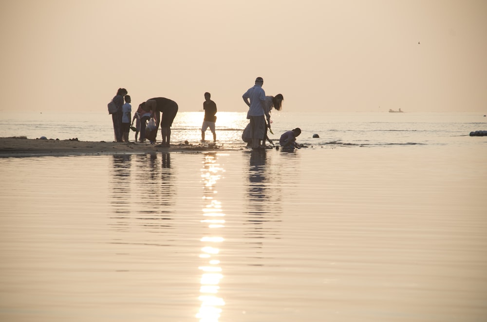 a group of people standing on top of a beach next to the ocean