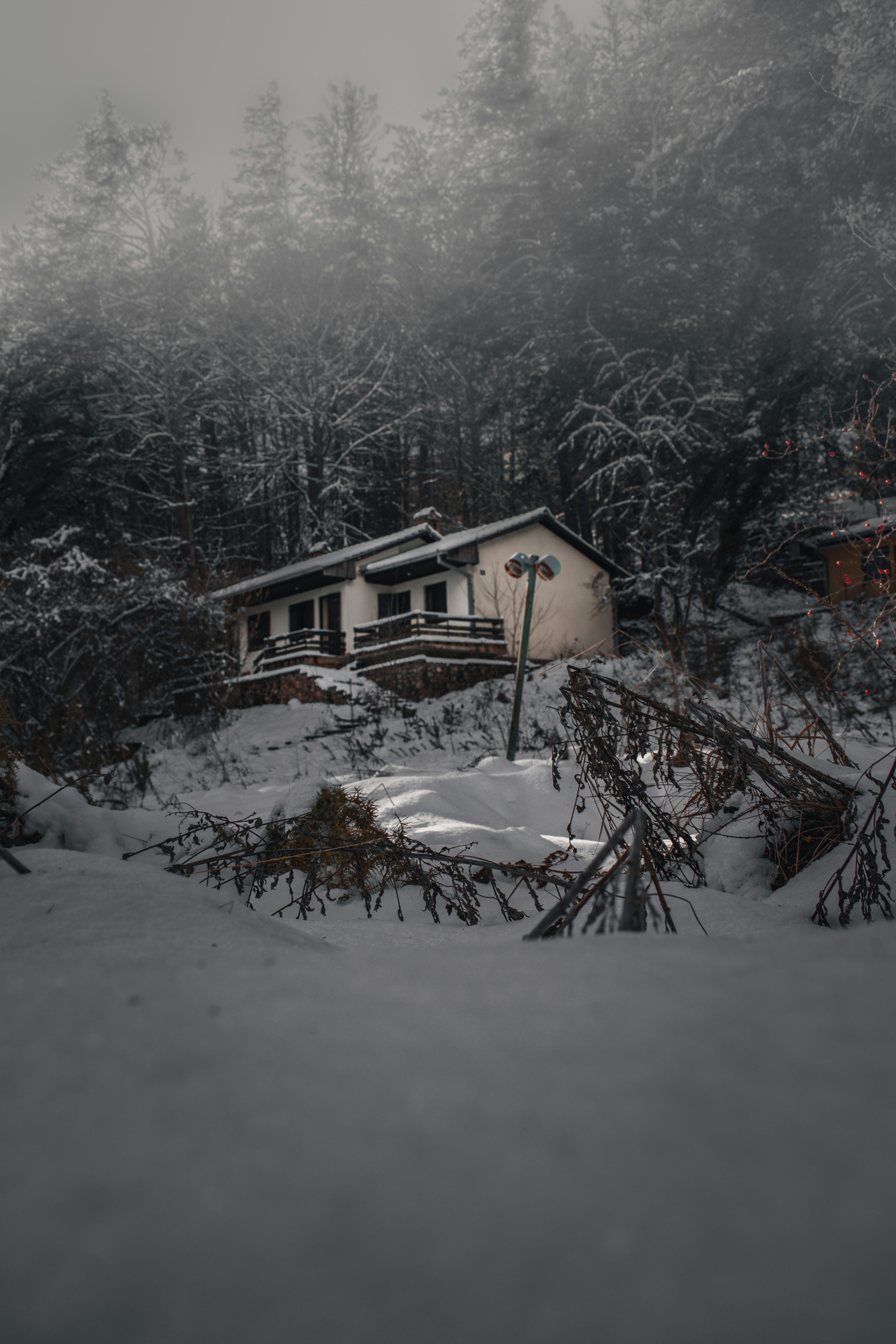 Photo by nikola43