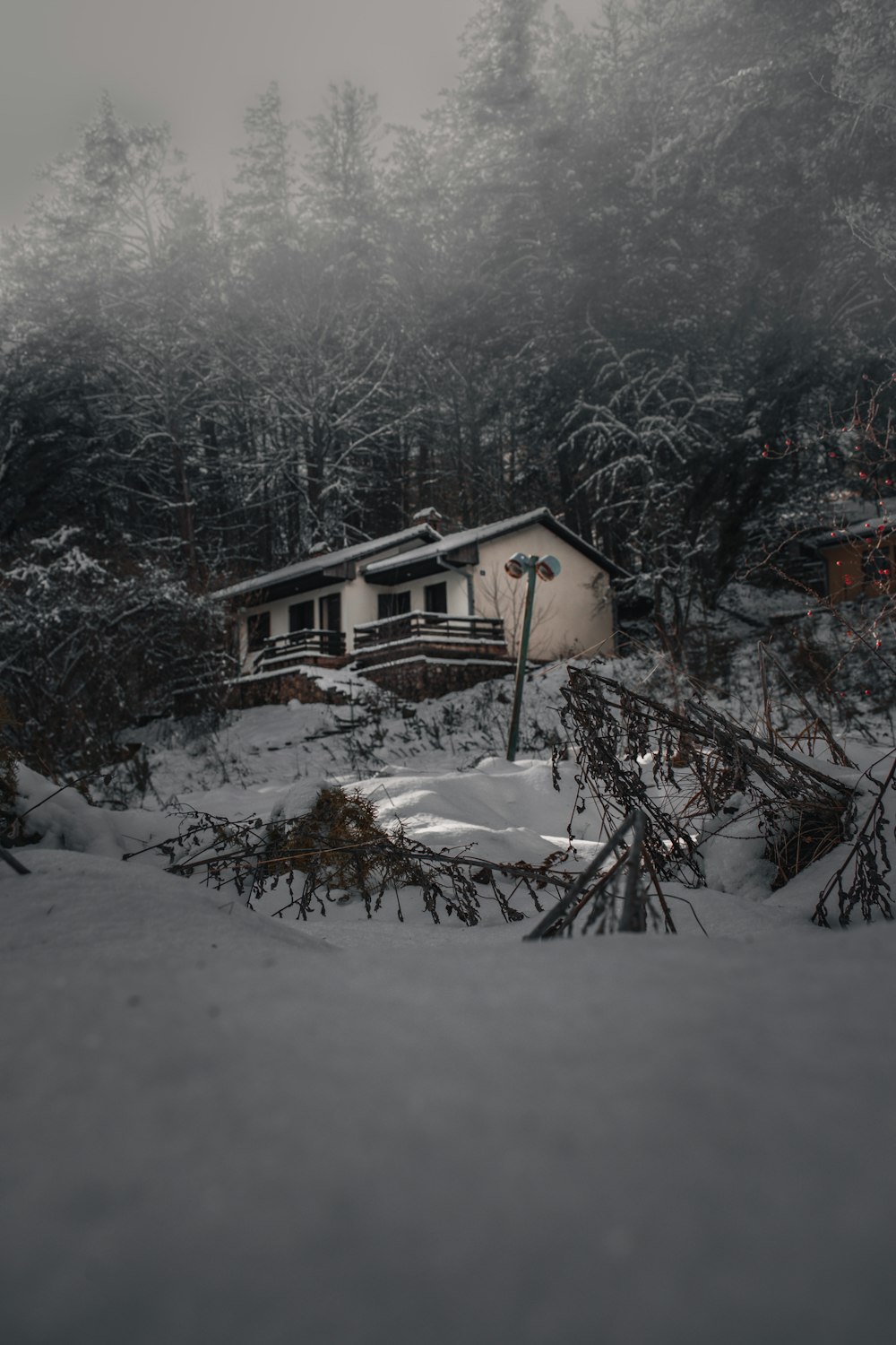 uma casa no meio de uma floresta nevada