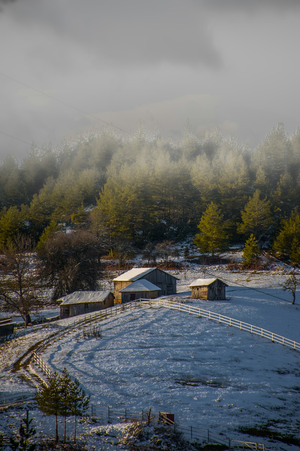 a snowy field with a barn and trees in the background