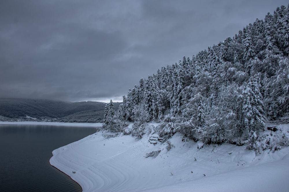 a lake surrounded by snow covered trees under a cloudy sky