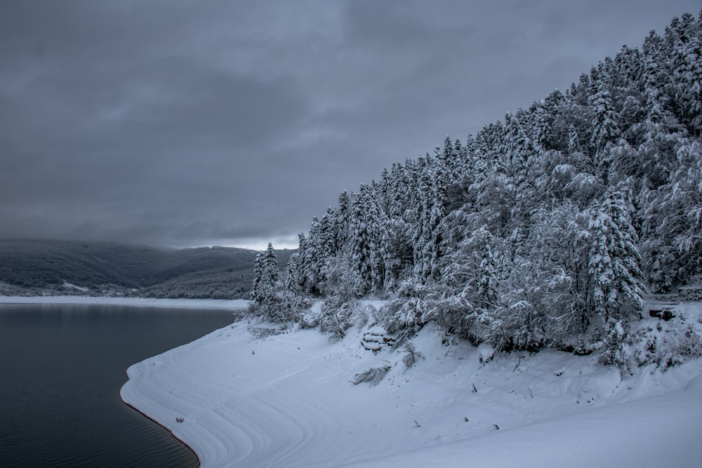 Un lago rodeado de árboles cubiertos de nieve bajo un cielo nublado