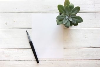 A blank white sheet of paper sits on a rustic wooden table, accompanied by a black pen with a gray grip on the left. A small green succulent plant in a pot is placed at the top right corner of the paper.
