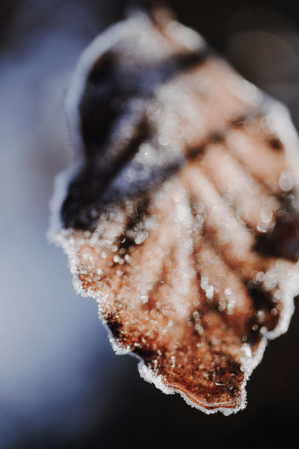 a close up of a piece of food