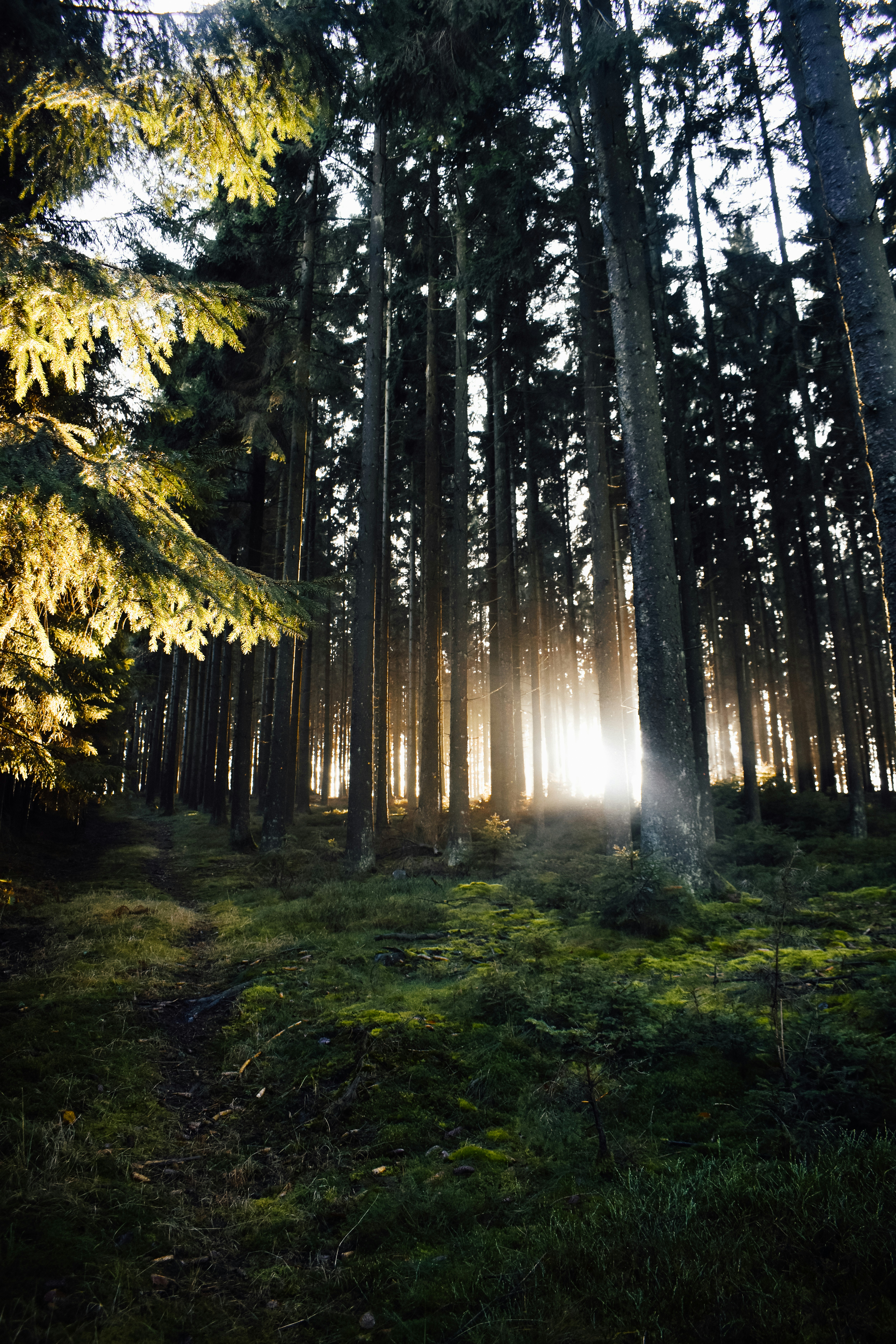 Photo by wanderlandjournal