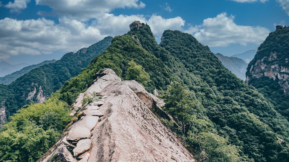 Ein sehr hoher Berg mit einigen Bäumen darauf